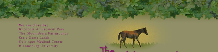 We are close by: Knoebels Amusement Park, The Bloomsburg Fairgrounds, State Game Lands, Geisinger Medical Center, Bloomsburg University